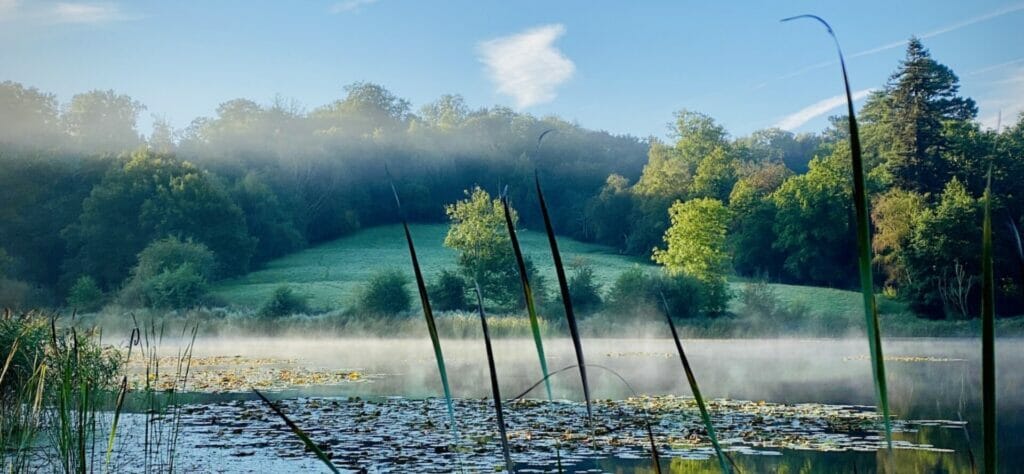 The lake at Ashburnham Place