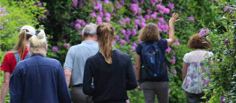 Jay walks at Ashburnham