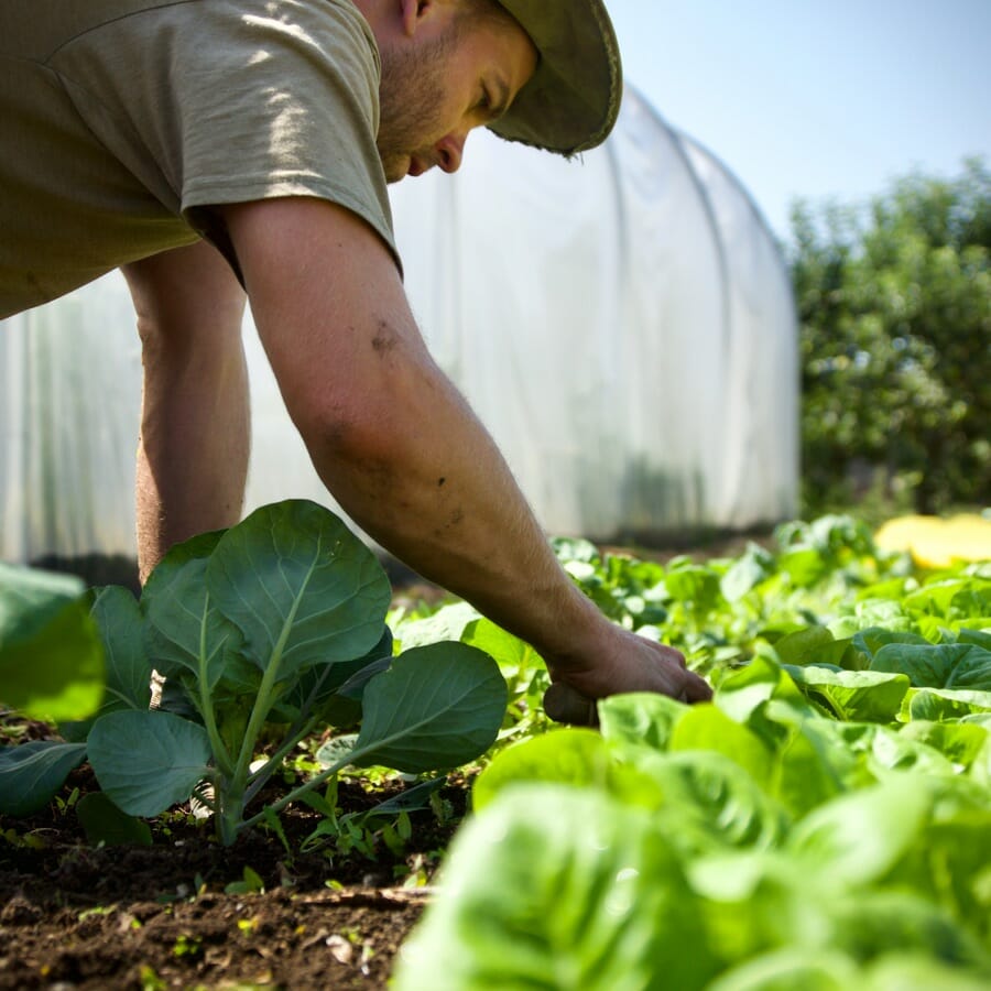 Jules Planting in the Garden